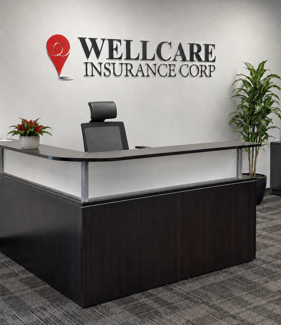 WellCare Insurance Hero 3